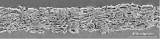 Micrographe du papier